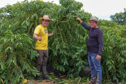 Com emendas de mais de R$ 1 milhão, Delegado Péricles impulsiona a produção de café no Distrito de Realidade, em Humaitá