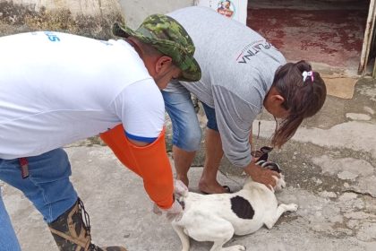 Prefeitura de Manaus inicia etapa rural fluvial da ‘Campanha de Vacinação Antirrábica Animal de 2026’