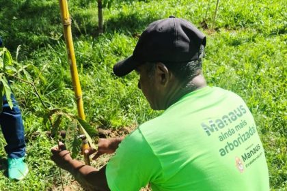 Mudas plantadas em Manaus chegam a 24.653 e correspondem a 61% da meta anual de 40 mil mudas