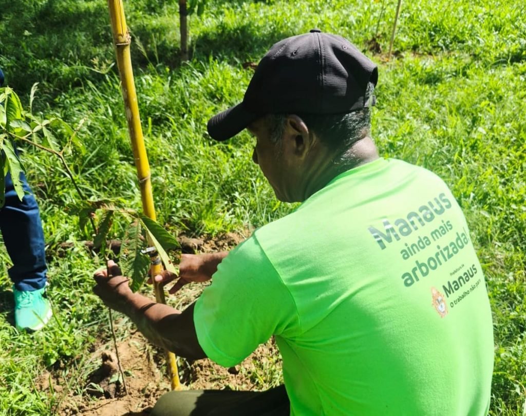 Mudas plantadas em Manaus chegam a 24.653 e correspondem a 61% da meta anual de 40 mil mudas
