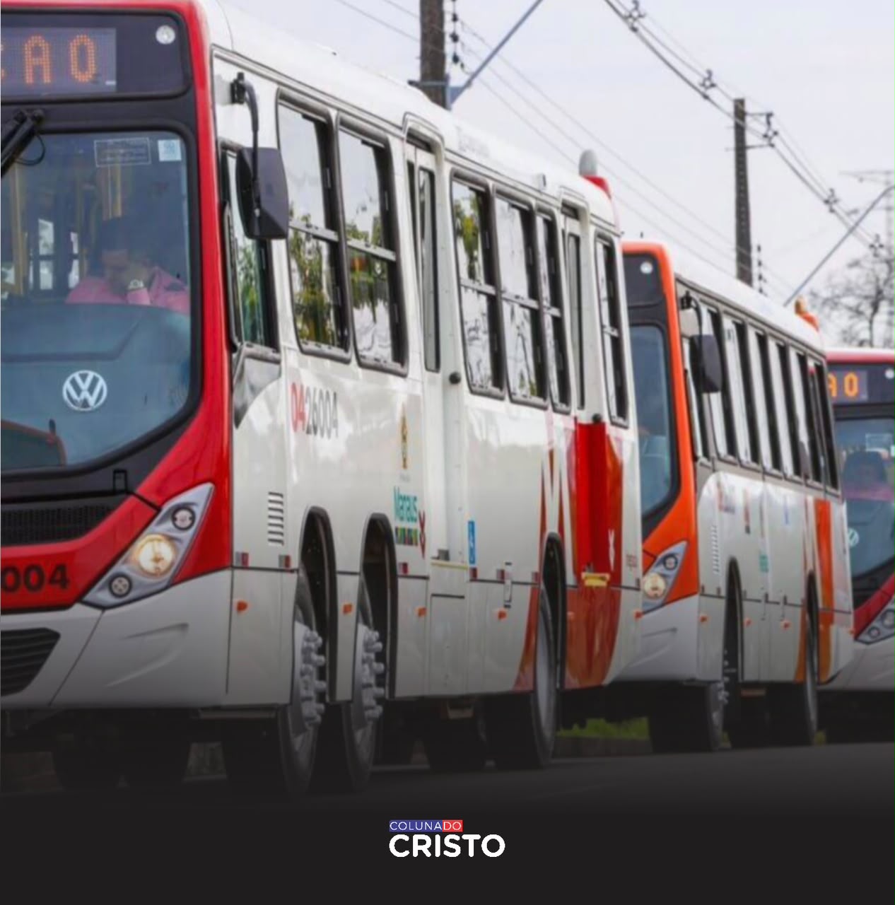 COLUNA DO CRISTO
